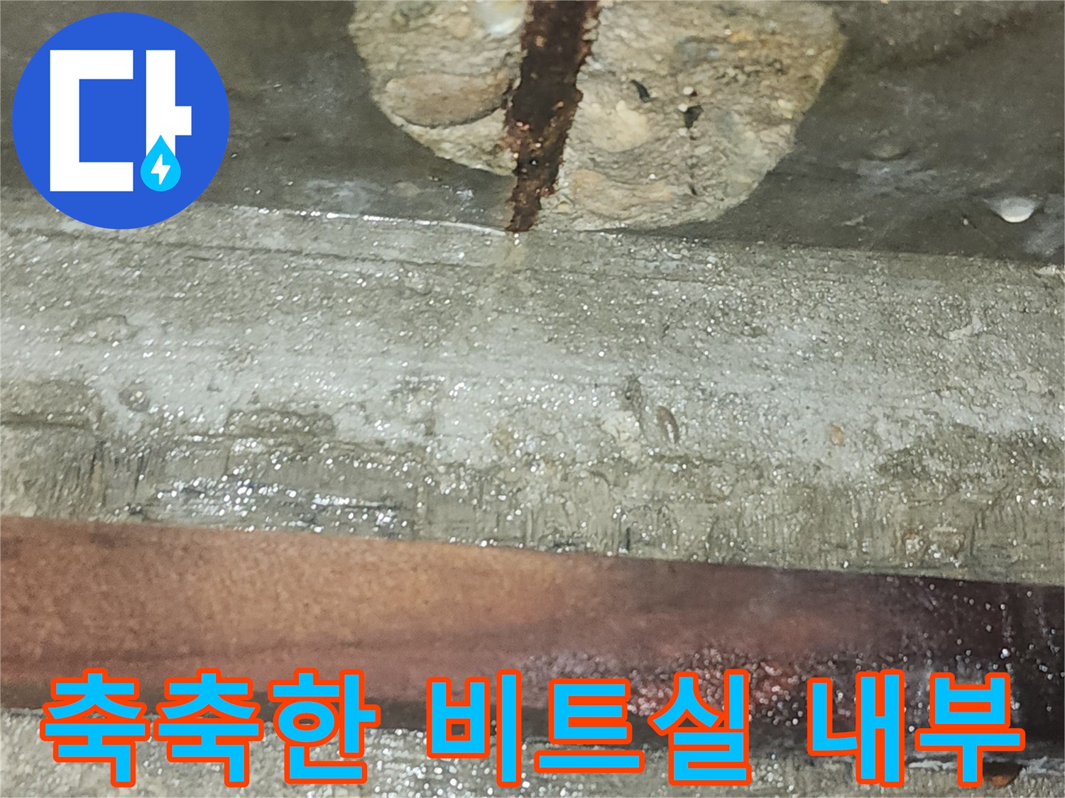 습기로-오염된-비트실-내부-벽면