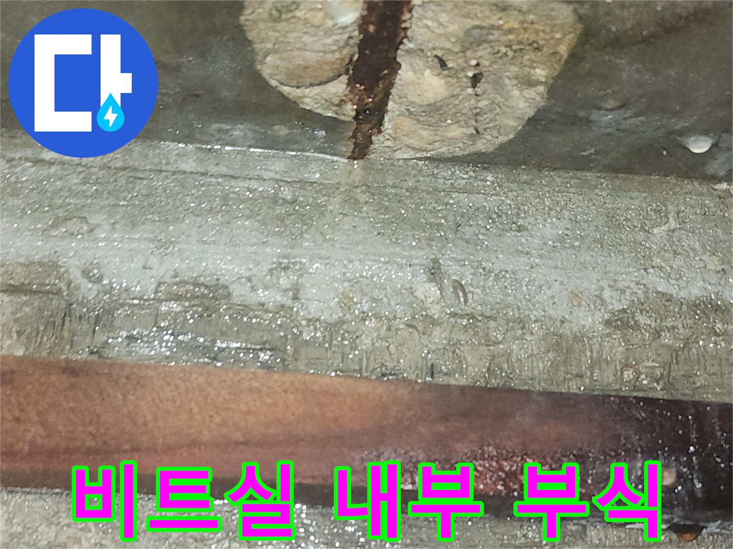 습기에-노출된-비트실-내부-철근-및-벽면