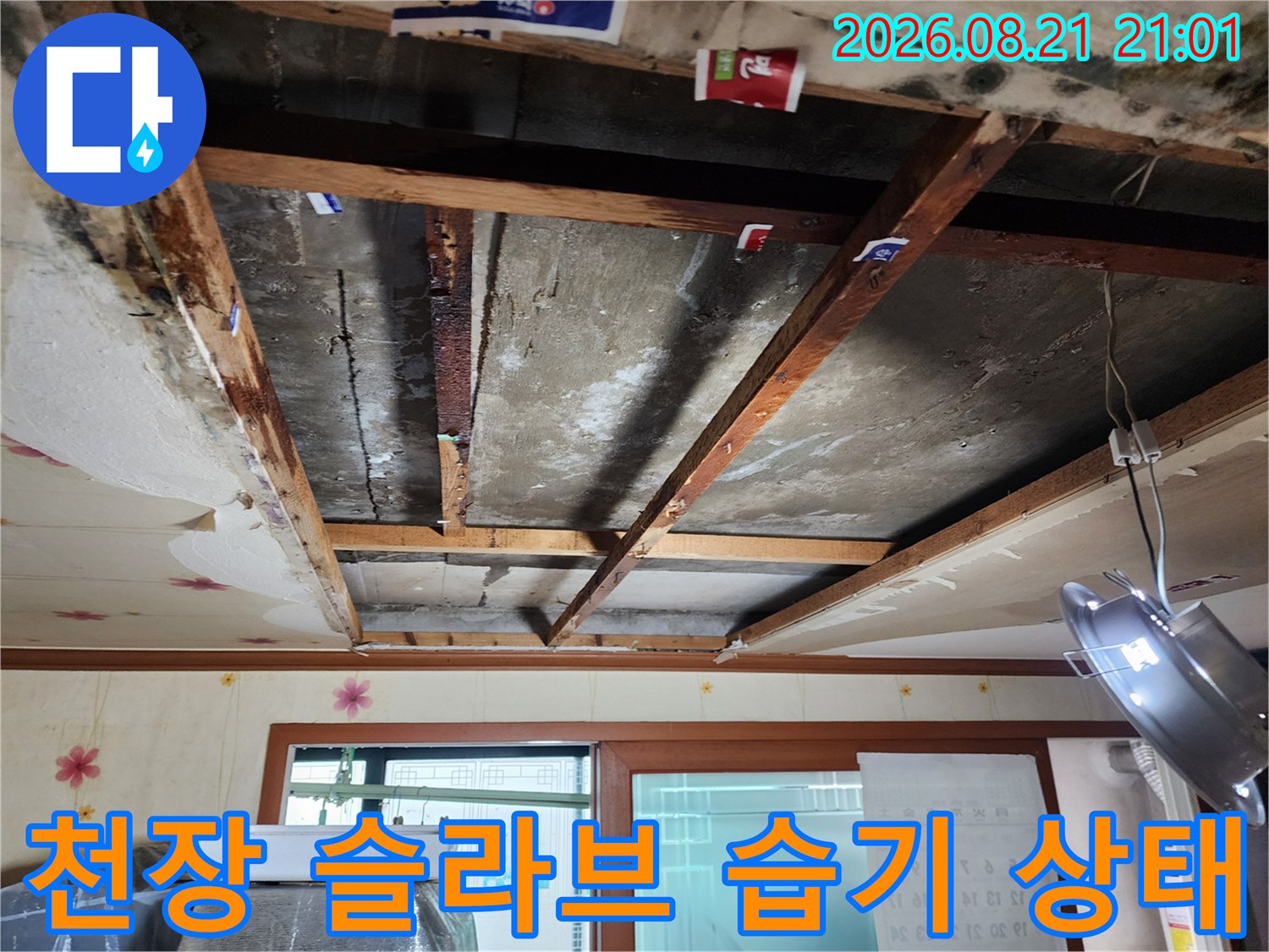 물기에 젖어 얼룩진 천장 콘크리트와 목재 지지대