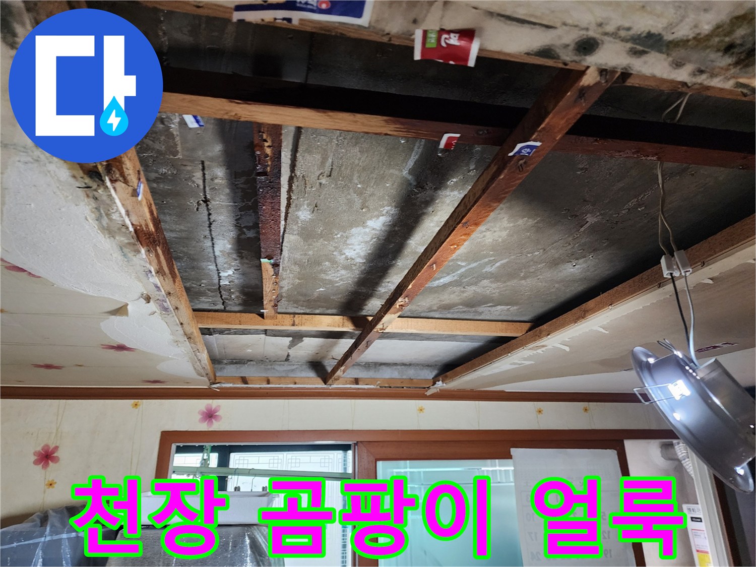 아랫집-천장-상판의-습기로-인한-곰팡이-및-얼룩-상태