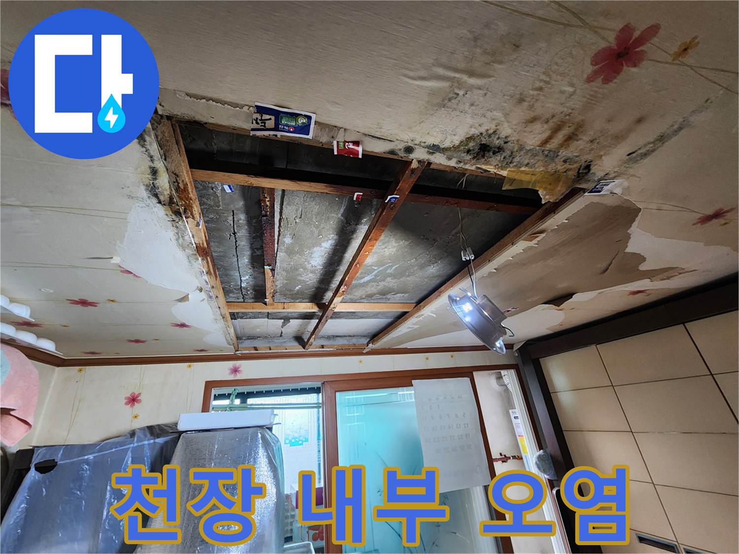 천장 마감재를 일부 제거하여 확인한 누수 흔적과 곰패 현상
