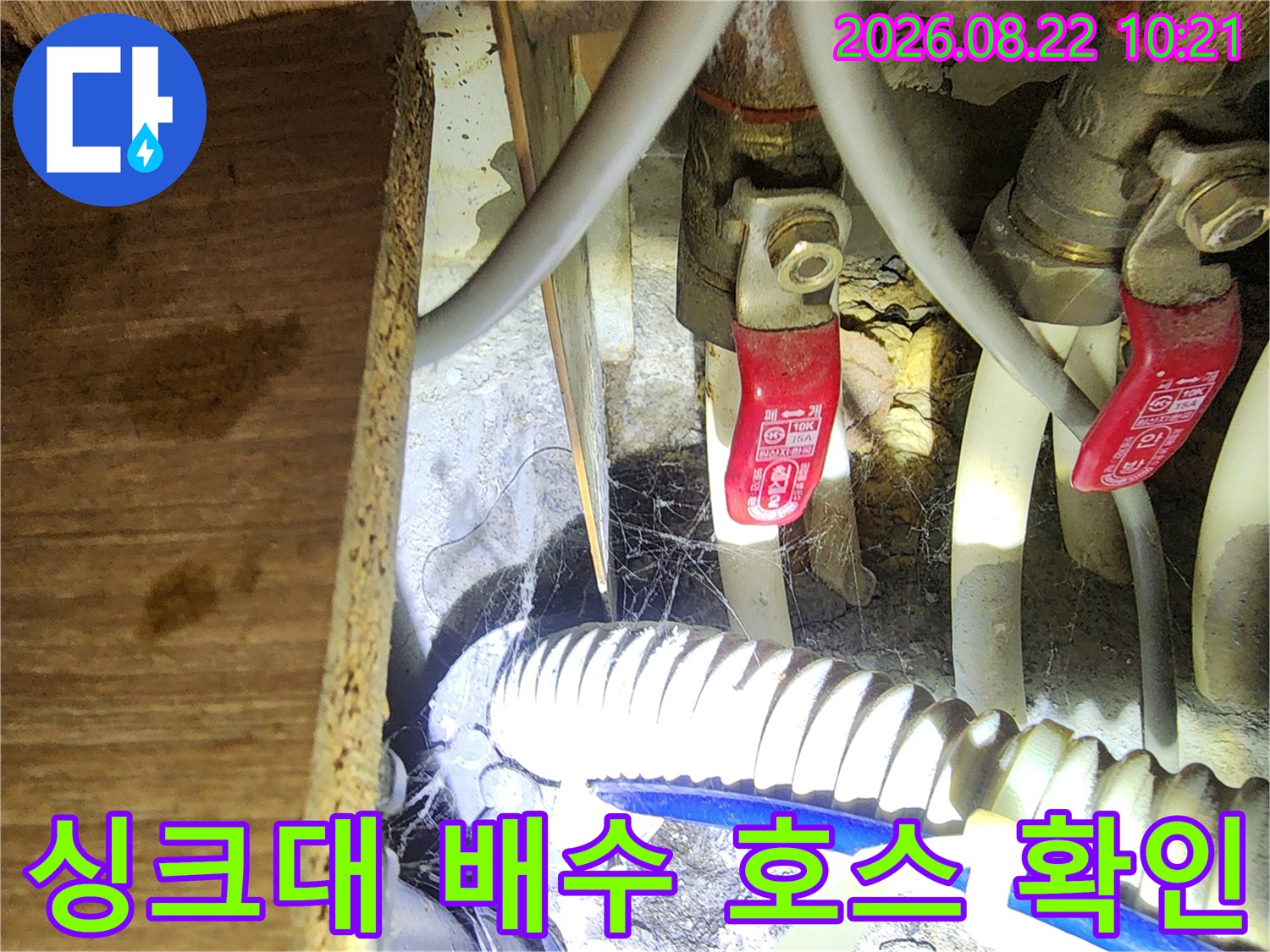 싱크대 밑 급수 밸브와 흰색 배수 호스의 연결 부위를 점검하는 장면