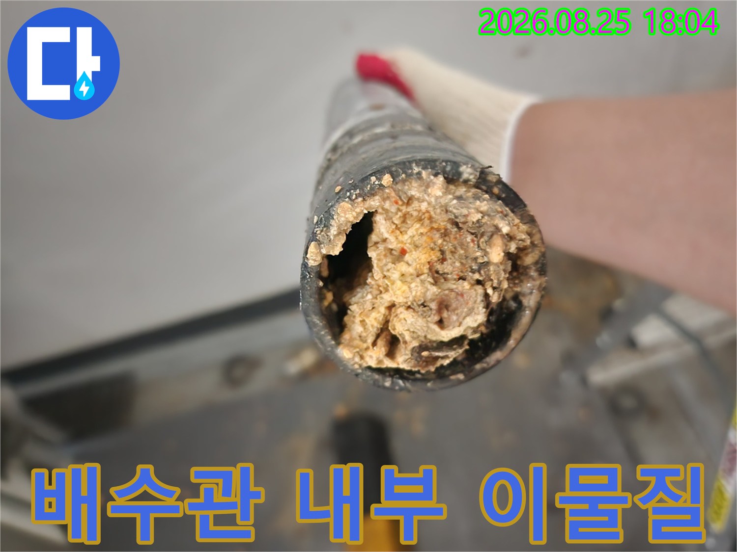 싱크대 배수관 내부에 가득 차 있는 음식물 찌꺼기와 슬러지 상태