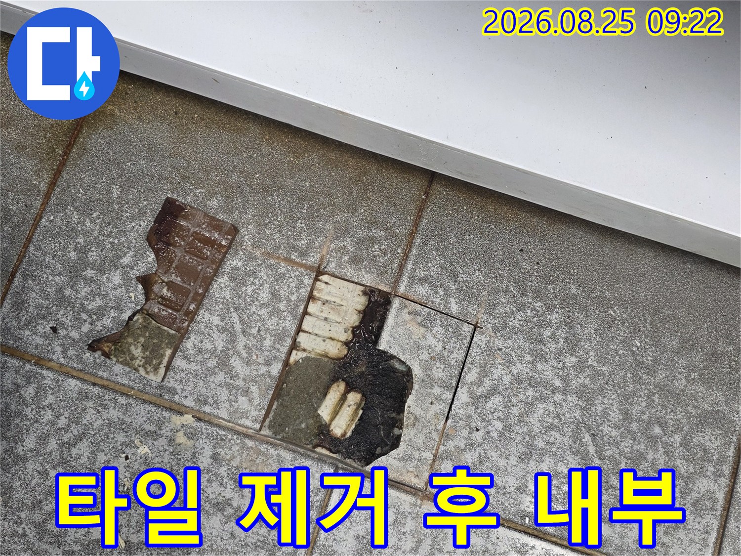 누수가 발생한 타일 틈새와 탈거된 타일 조각들