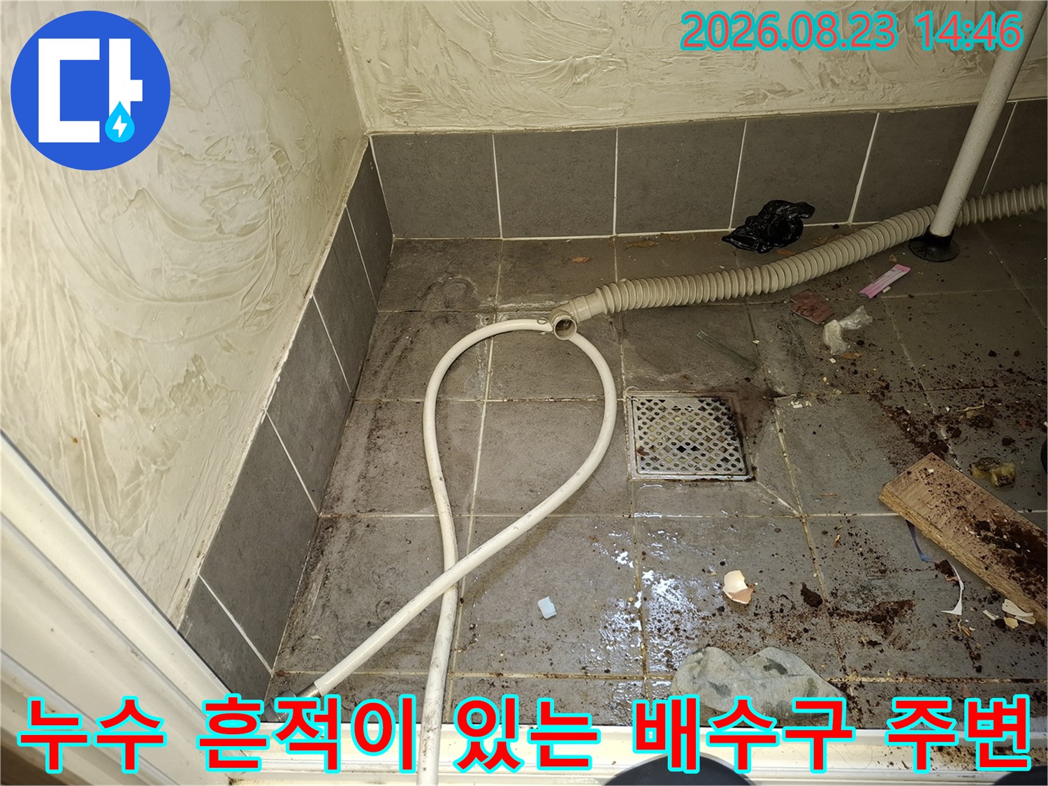 세탁실 하수구와 연결된 호스 및 오염된 바닥 타일 사진