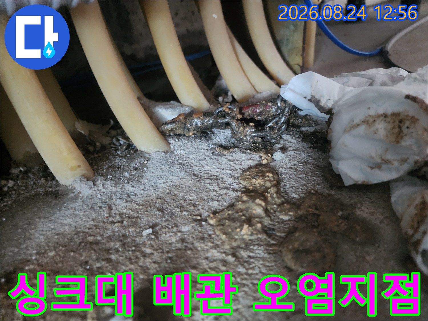 배관-사이로-흘러나온-역류된-물과-찌꺼기