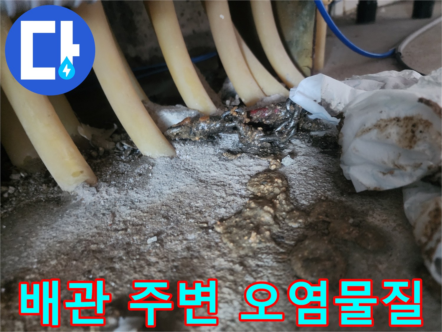 싱크대-배관-틈새-슬러지-및-오염-현황