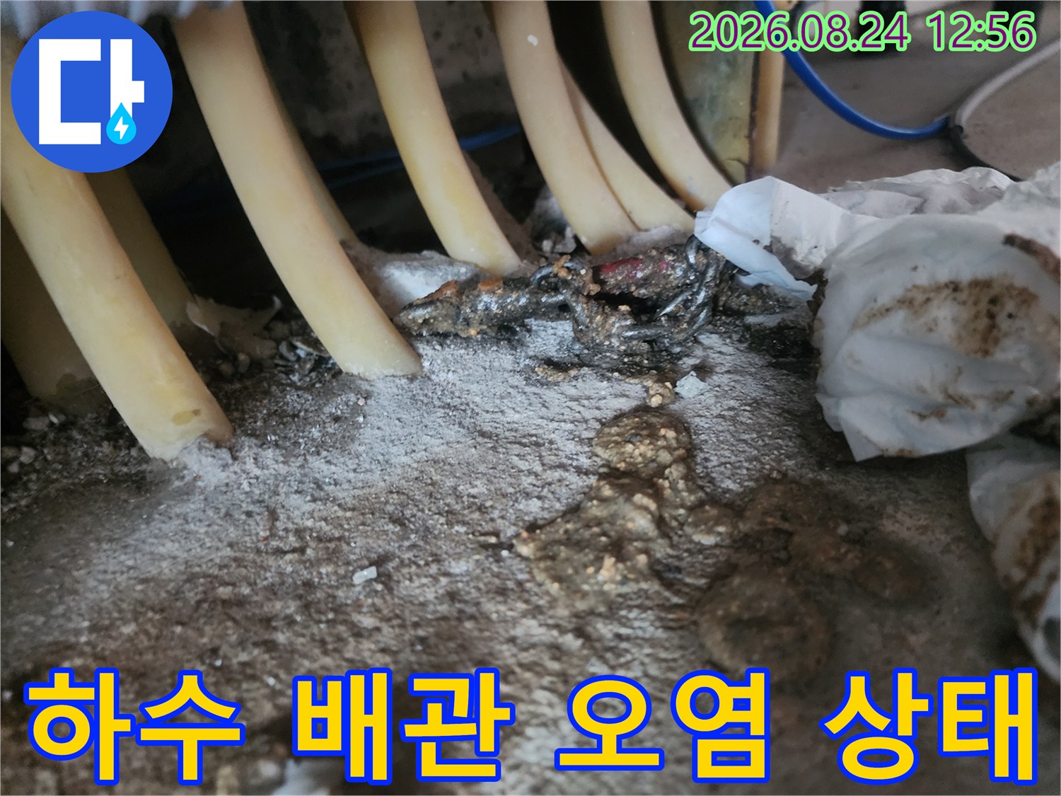 싱크대 하부-배관 주변에 뭉쳐 있는 슬러지와 이물질