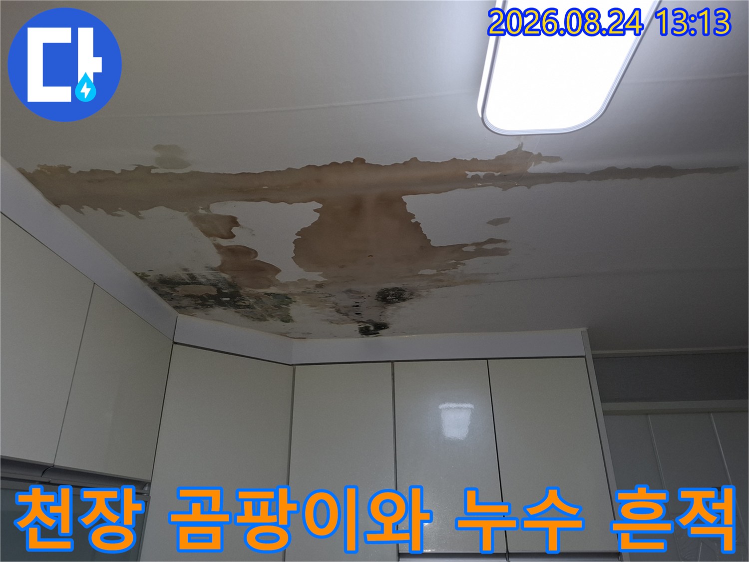 주방 천장 마감재에 발생한 누수 얼룩 및 곰팡이 현상