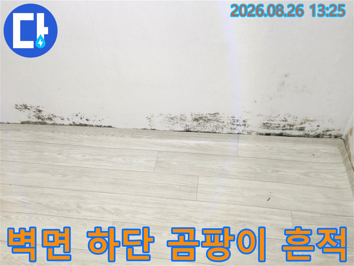 남양주 진접읍 주택-벽면 하단에 발생한 검은 곰팡이 상태