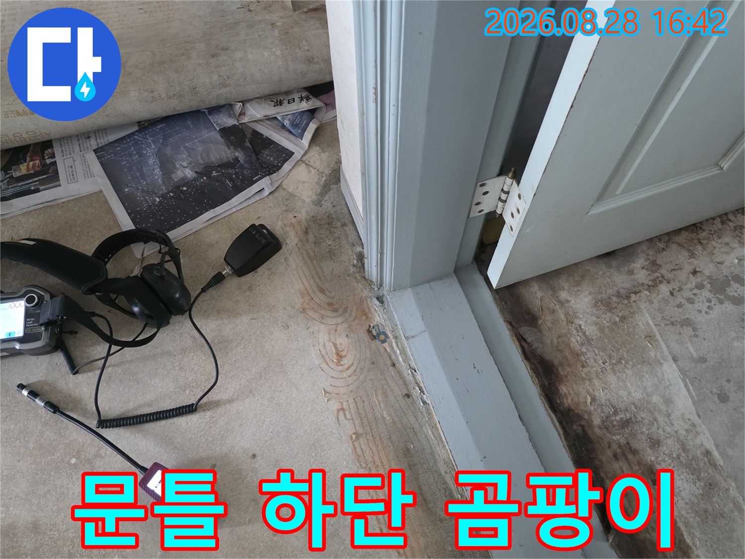 문틀과 벽면 경계 부위의 심한 곰팡이 오염 상태