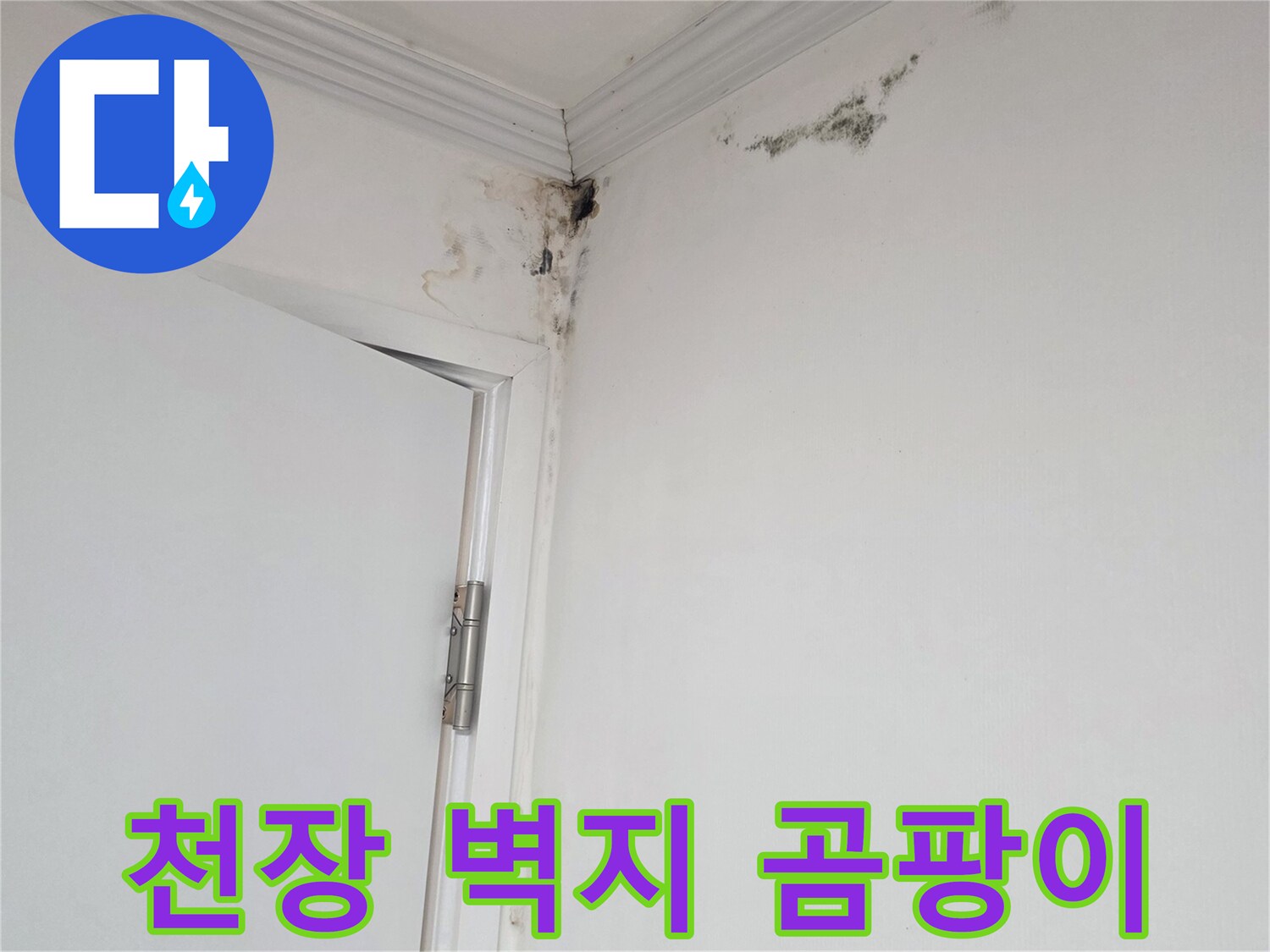 벽지-모서리-부분의-검은색-곰팡이-오염