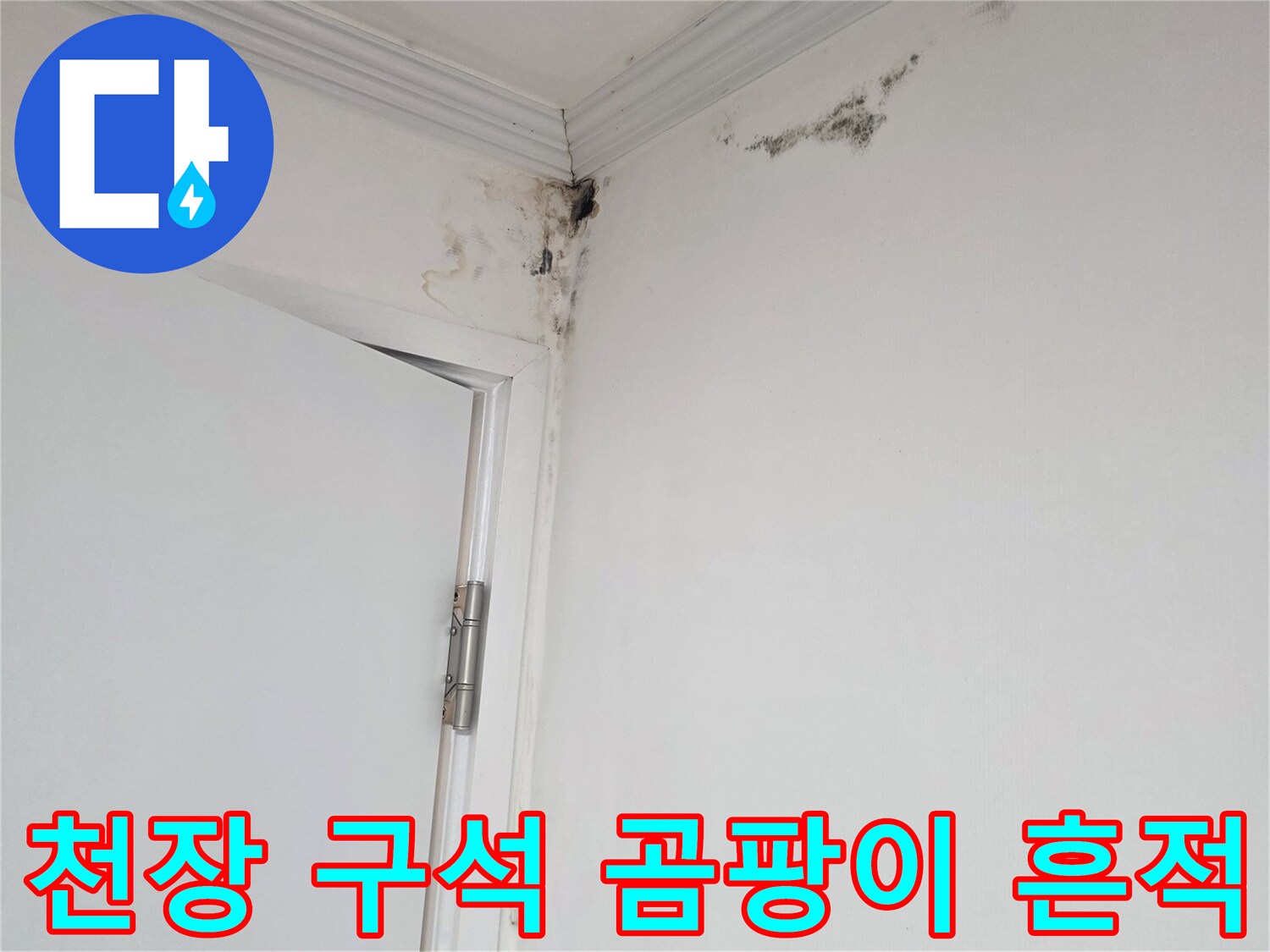 천장과 벽면이 만나는 지점의 곰팡이와 누수 피해 부위