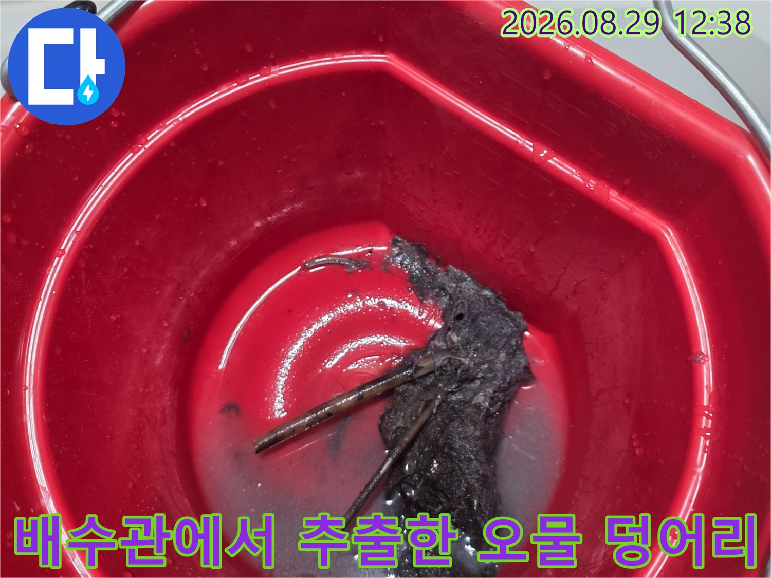 배수관 내부에서 나온 검은색 슬러지와 이물질 뭉치