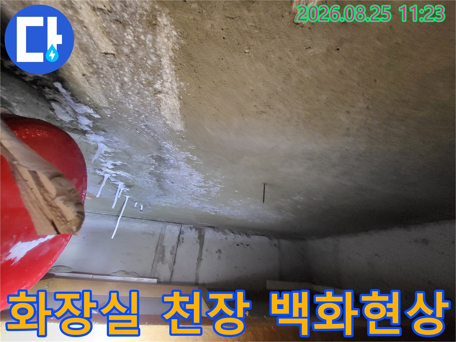 고양시 일산동구 중산동 화장실 천장 부근에 하얗게 맺힌 석회물과 백화 현상 사진