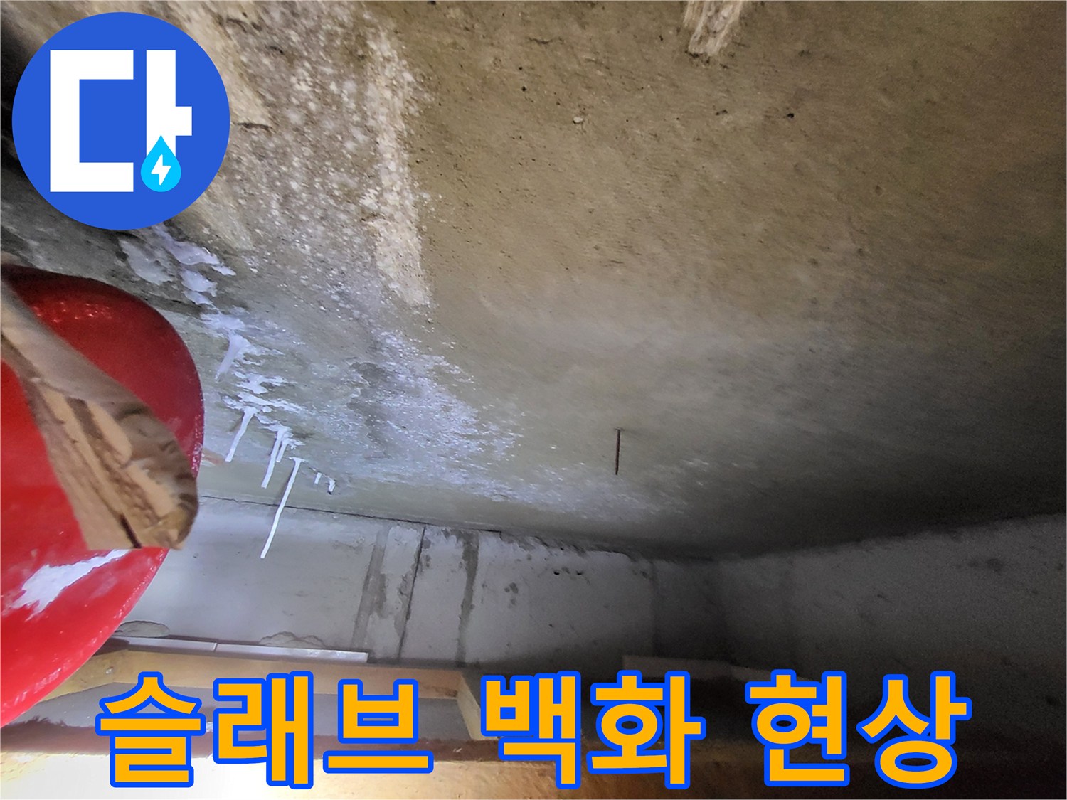 일산동구 중산동-백화가 발생한 화장실 천장