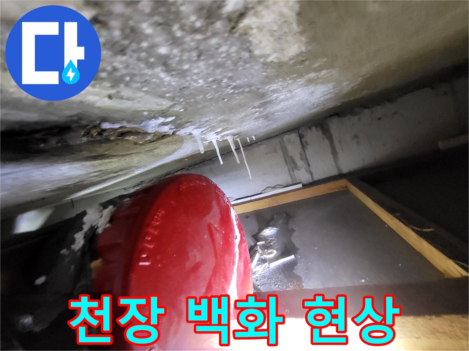 콘크리트-슬래브-표면의-하얀-백화-현상-사진