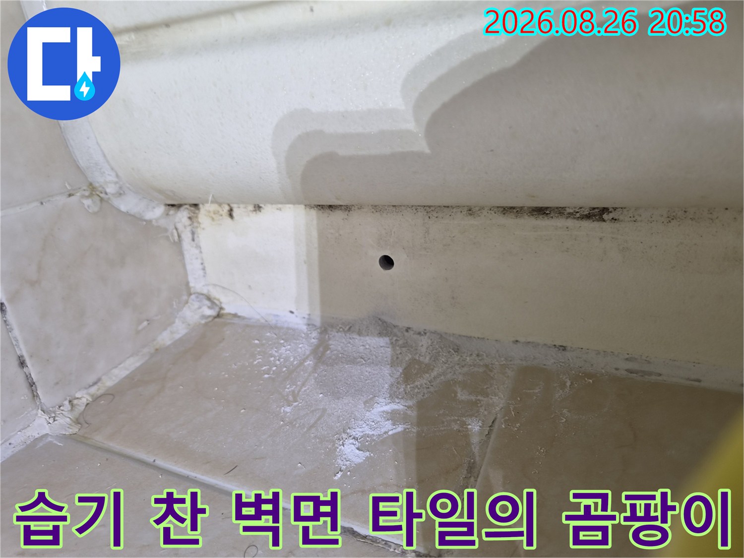 욕실 타일 경계부의 곰팡이와 습기 흔적 상세샷