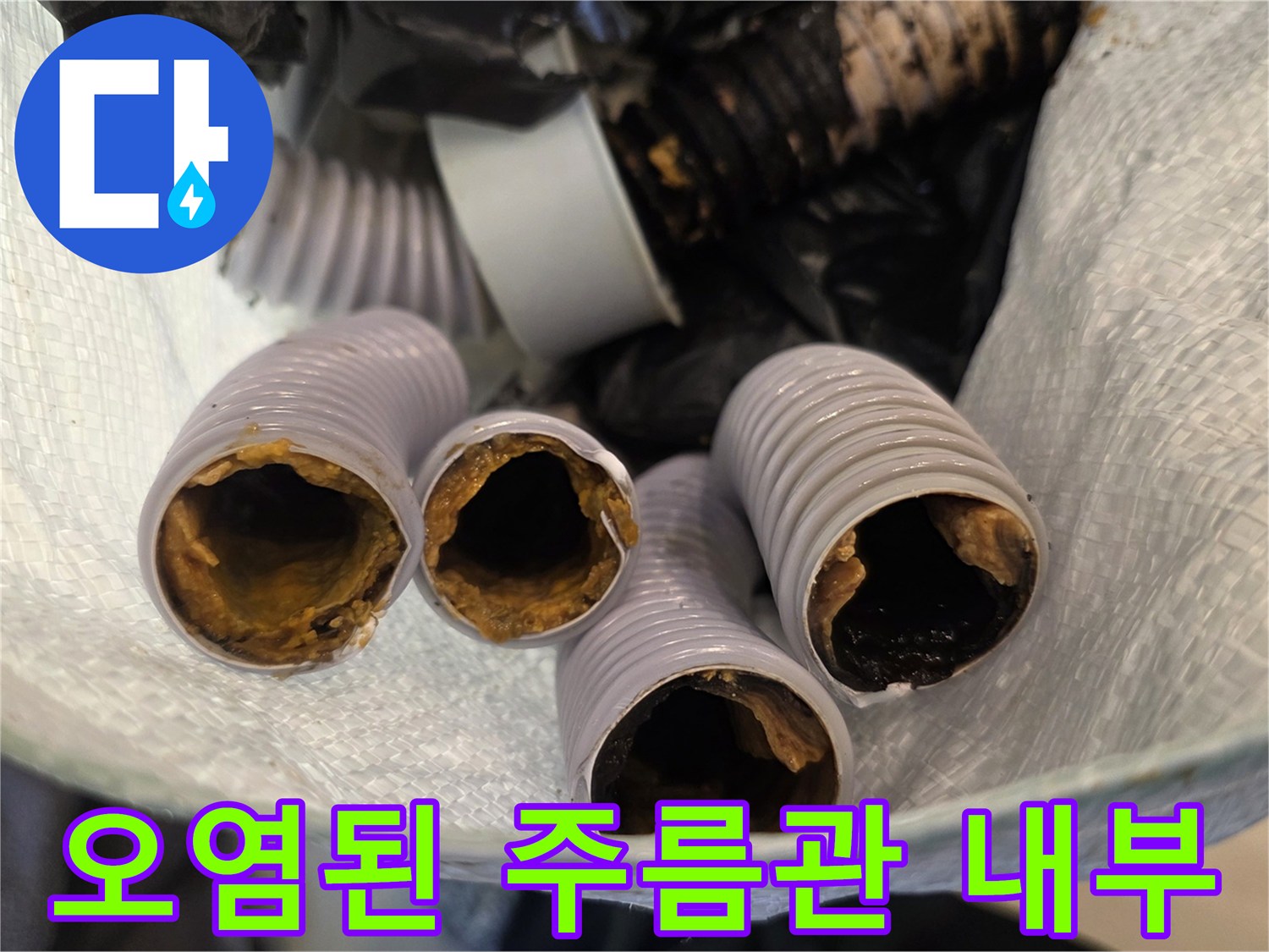 기름때와 찌꺼기로 오염된 싱크대 주름관 단면 모습