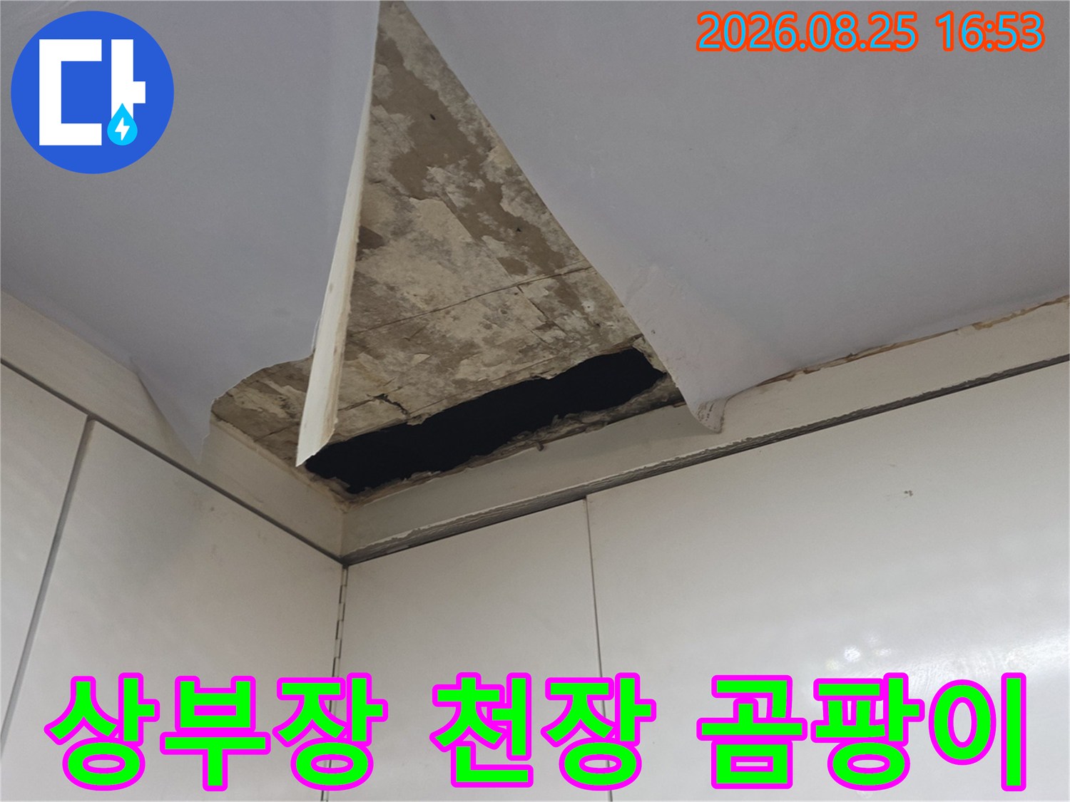 주방 상부장 모서리 부근-천장 마감재 오염 및 곰팡이 발생 현황
