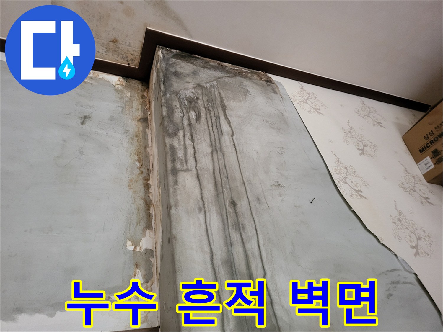 물샘으로 인해-얼룩진 벽지와 곰팡이 현장