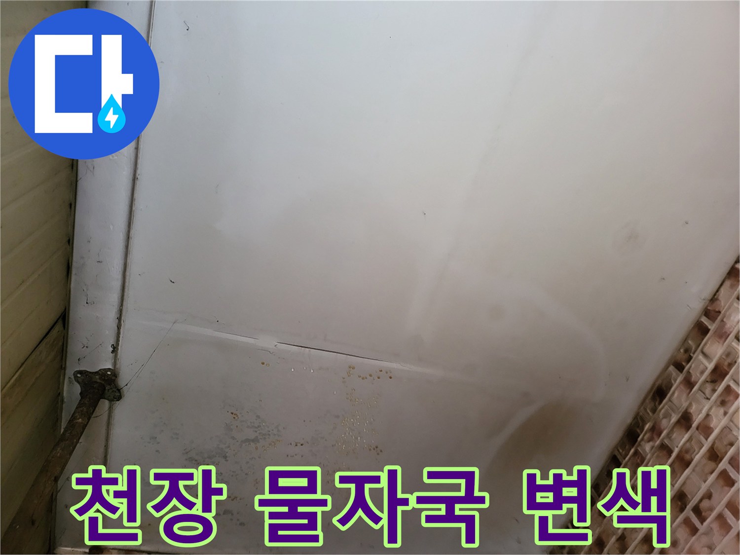 보령 남포면 현장의 천장 벽지 얼룩과 습기 흔적