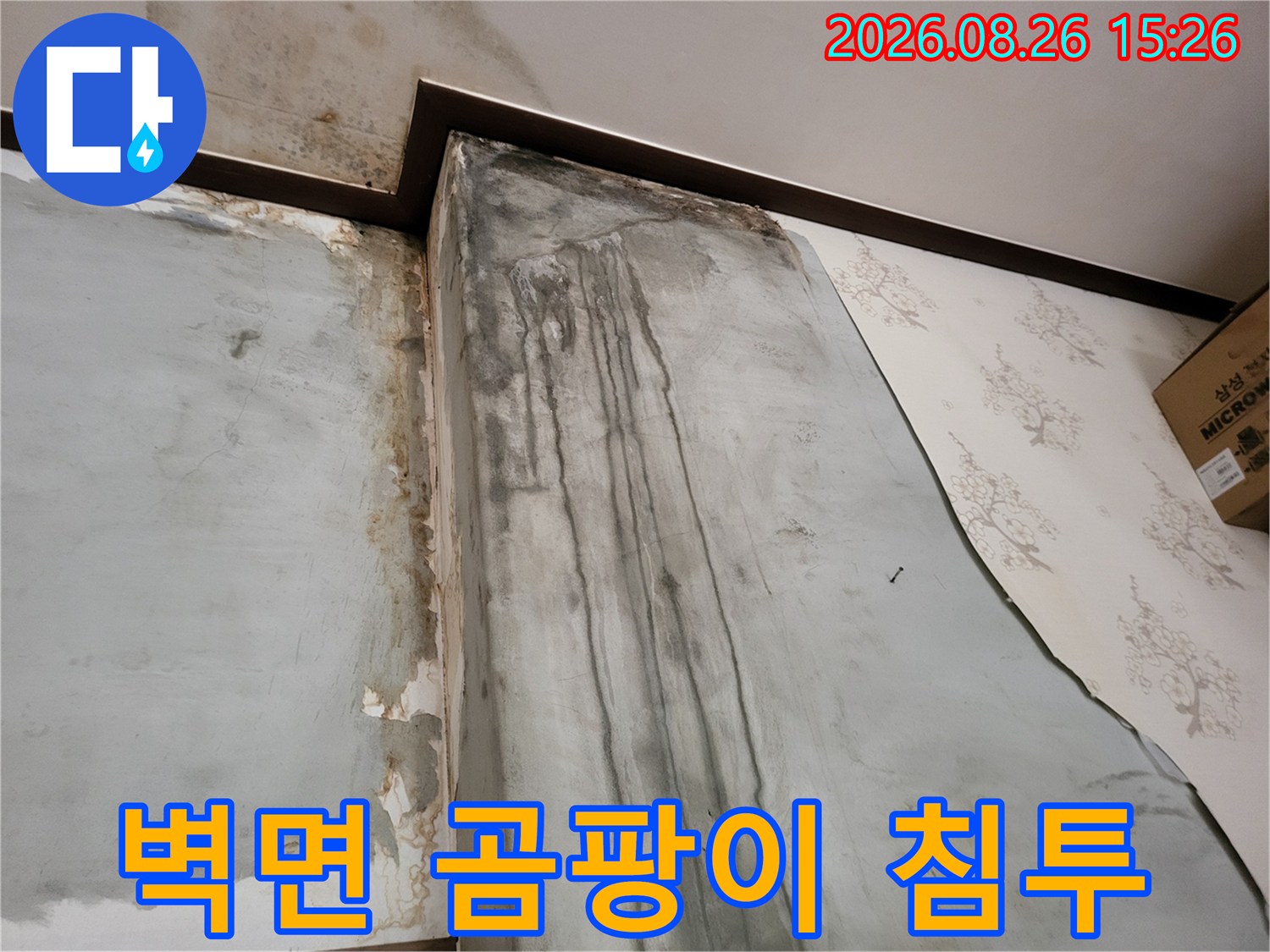 습기로 인해 곰팡이가 번진 벽지-천장 누수 피해 부위