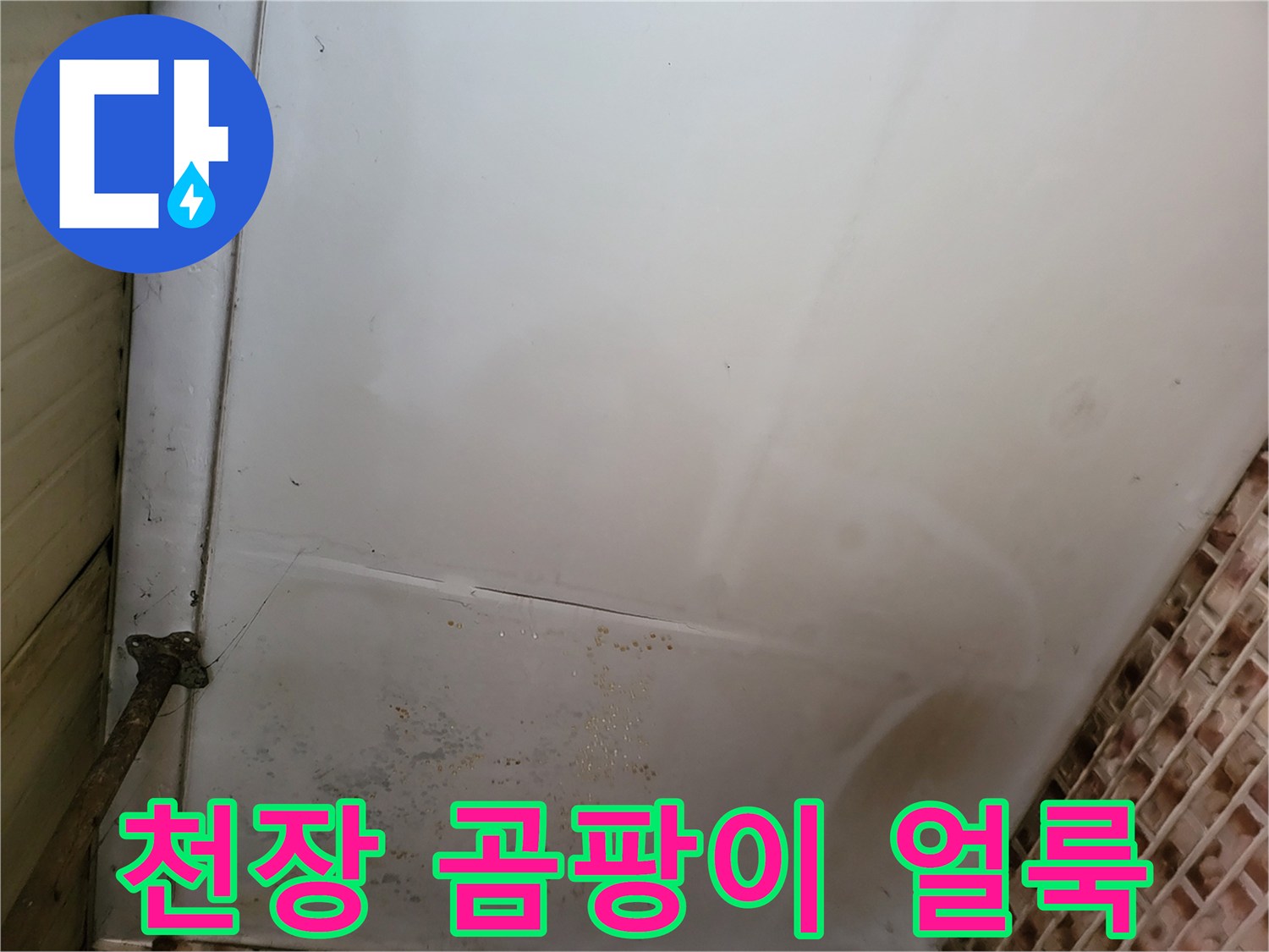 천장 구석 부분의 곰팡이와 습기 흔적 사진