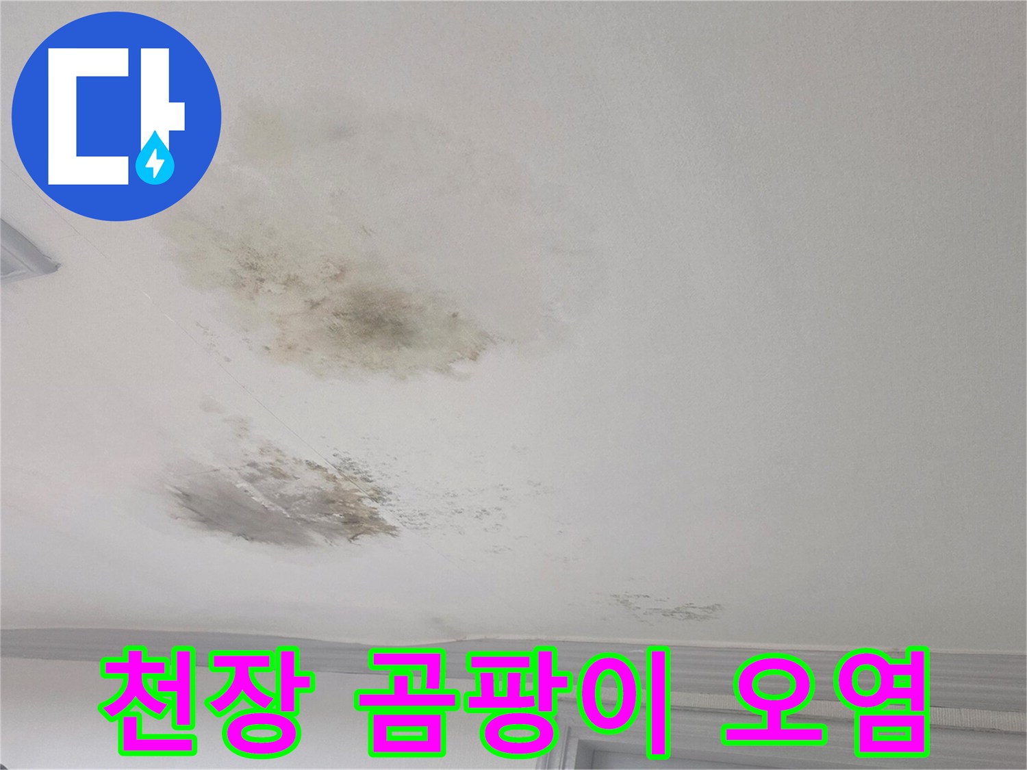 거실 천장 벽지에 나타난 짙은 곰팡이와 수분 침투 흔적