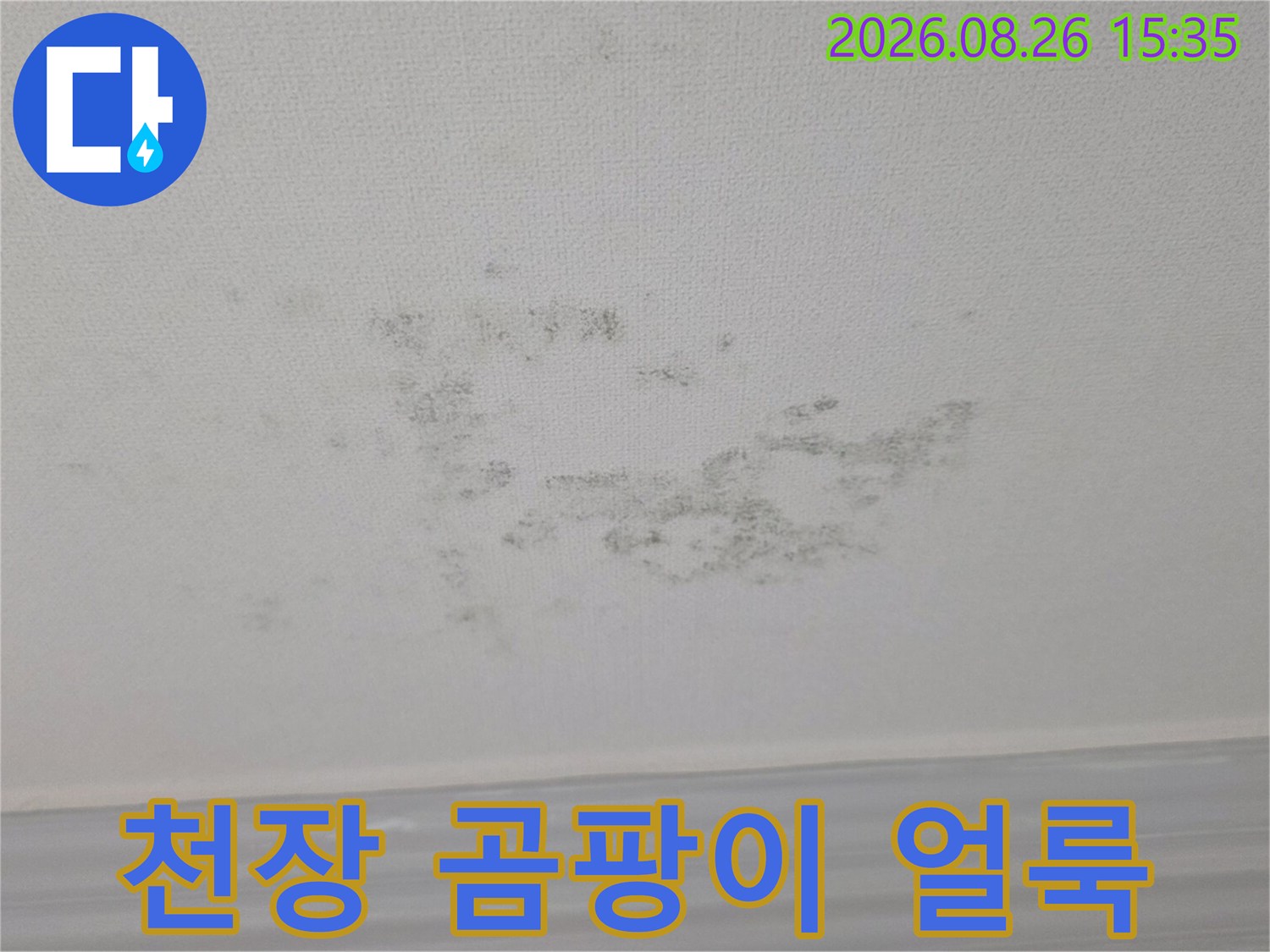 경기 광주 송정동 빌라 천장에 발생한 검은색 곰팡이와 습기 흔적