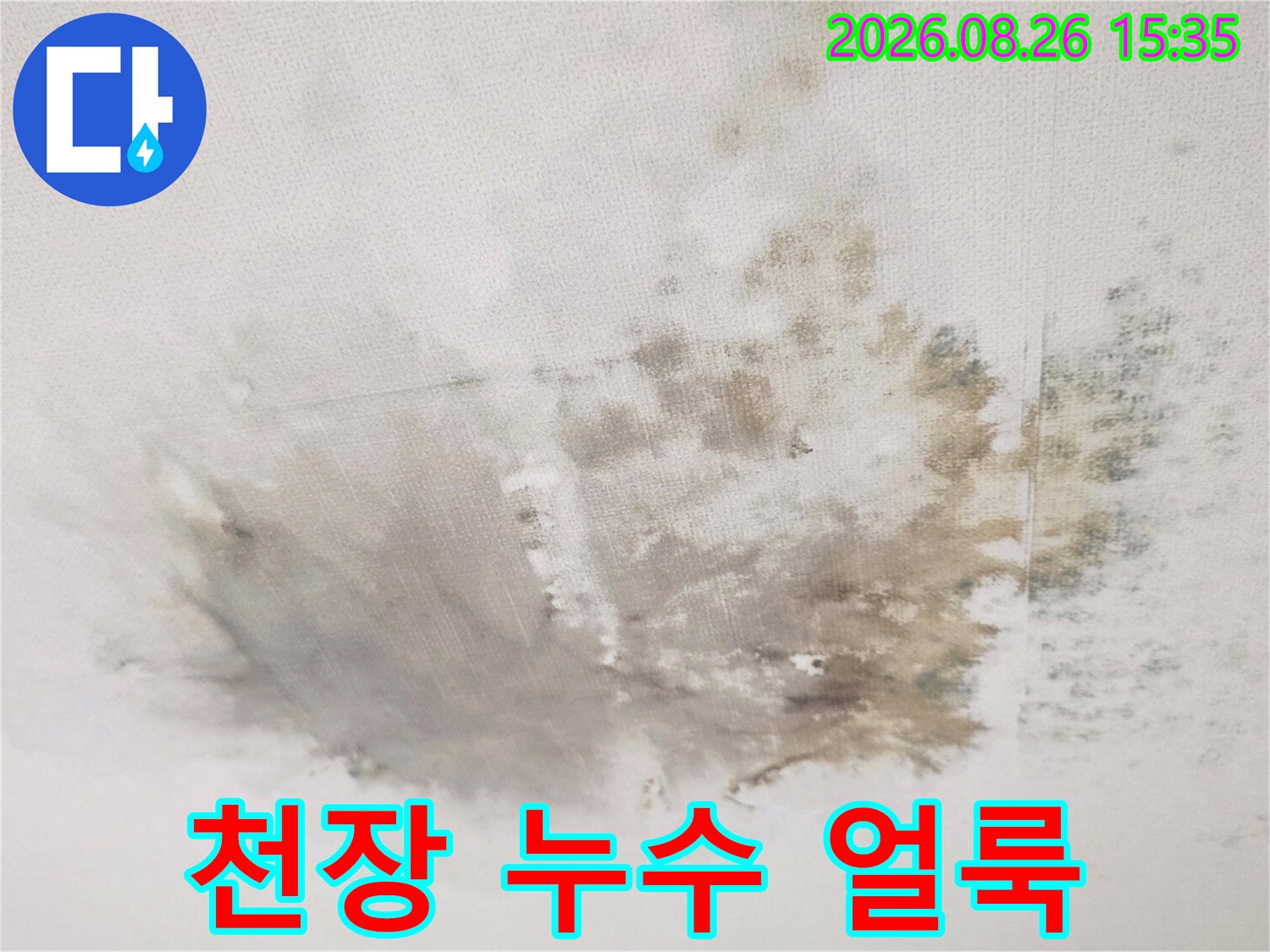 경기 광주 송정동 빌라 천장의 넓은 누수 흔적과 곰팡이 상태