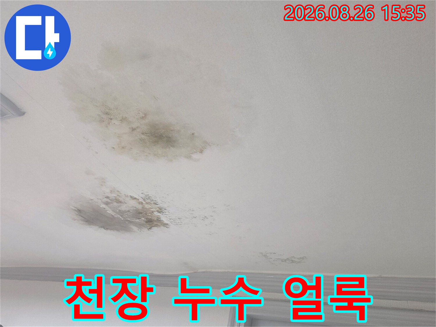 경기 광주시 송정동 빌라 천장의 습기 및 곰팡이 흔적