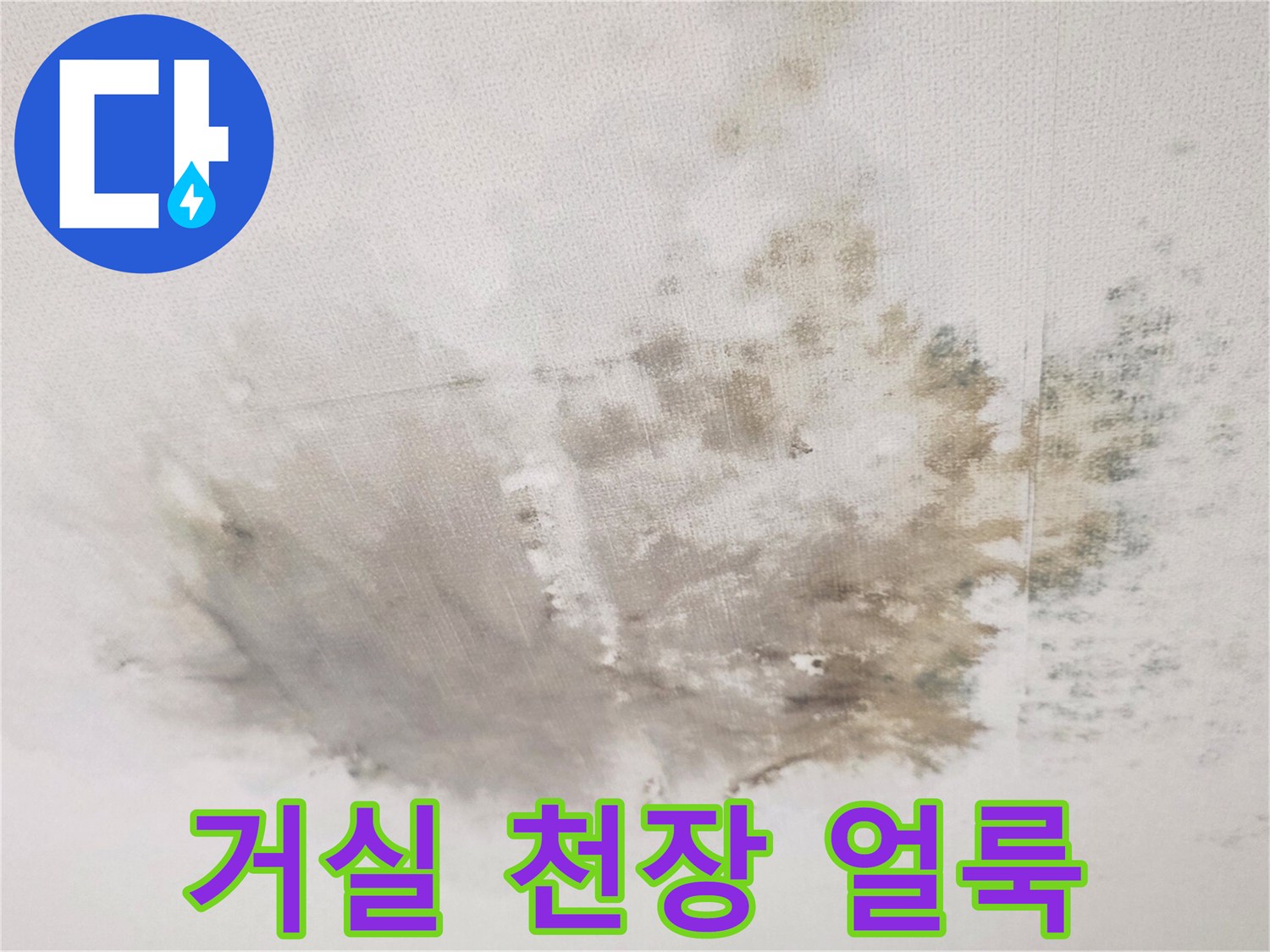 빌라 거실 천장에 발생한 넓은 물얼룩과 곰팡이 흔적
