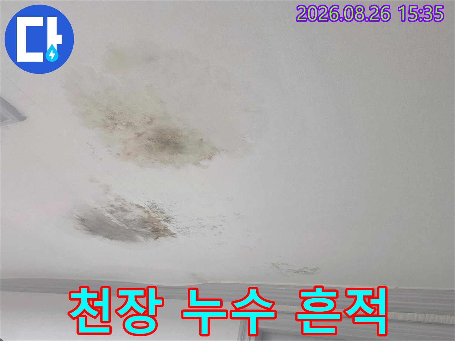 아랫층 거실 천장에 발생한 넓은 범위의 누수 및 곰팡이 흔적입니다.