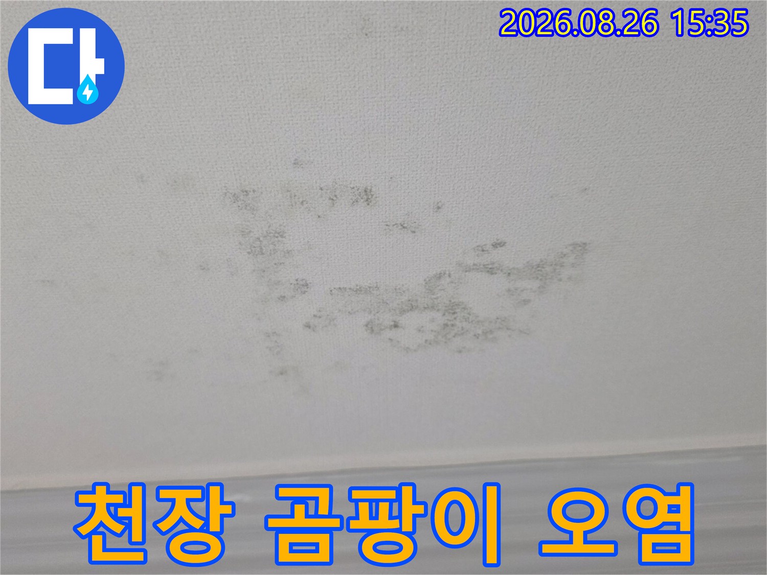 축축하게 젖어 곰팡이가 발생한 천장 내부 상태