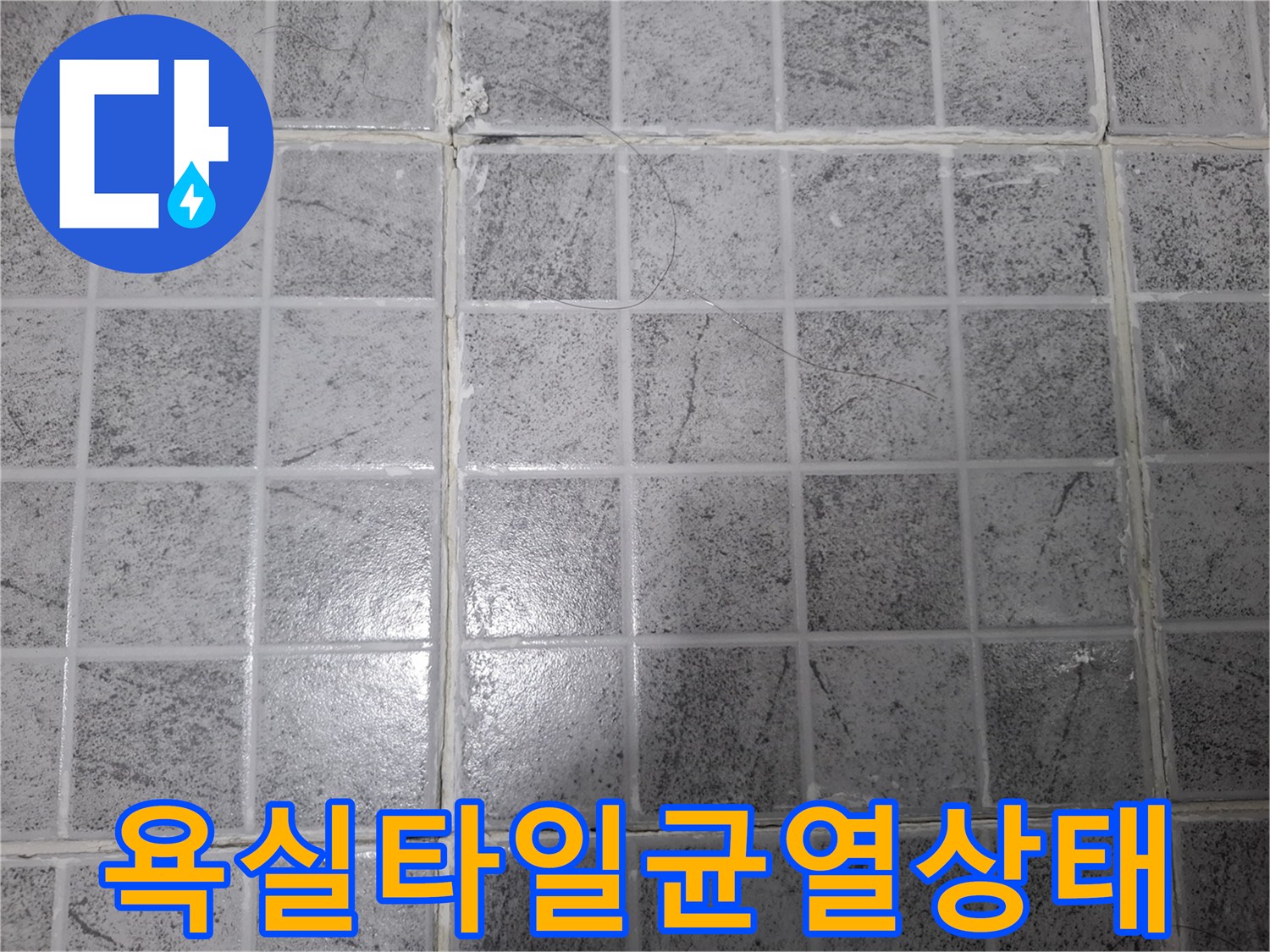 양천구-목동-빌라-욕실-타일-줄눈-균열-현장