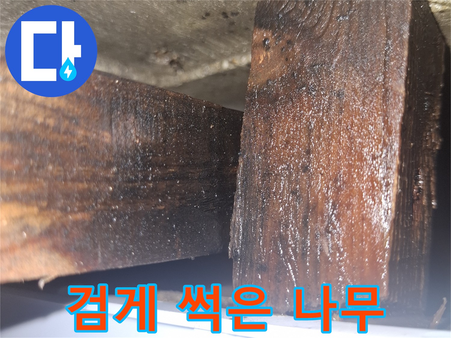 침수로 인해 변색된 내부 목재 부위 모습