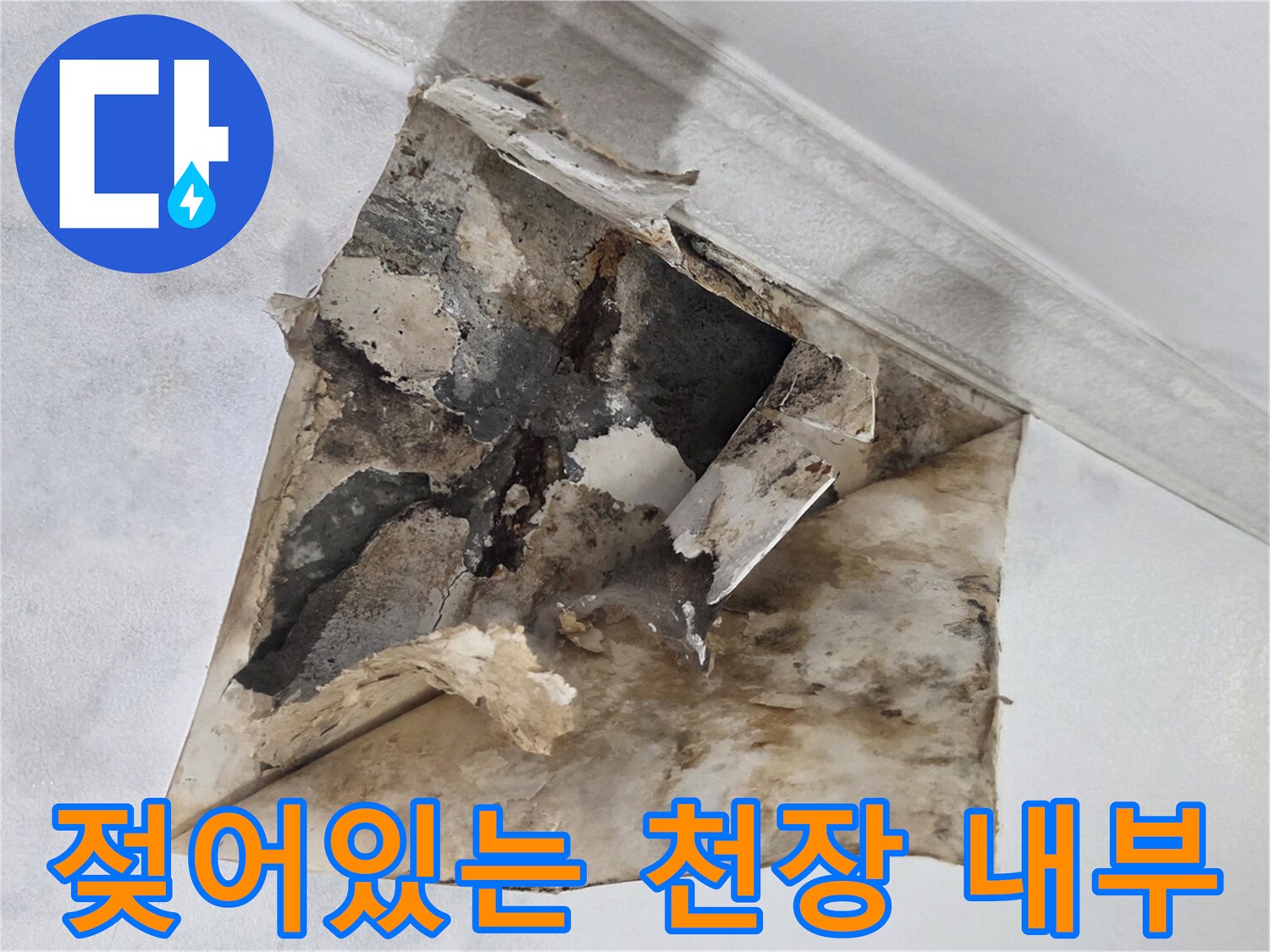 습기로 인해 변색되고 곰<0xAE>팡이가 생긴 천장 마감