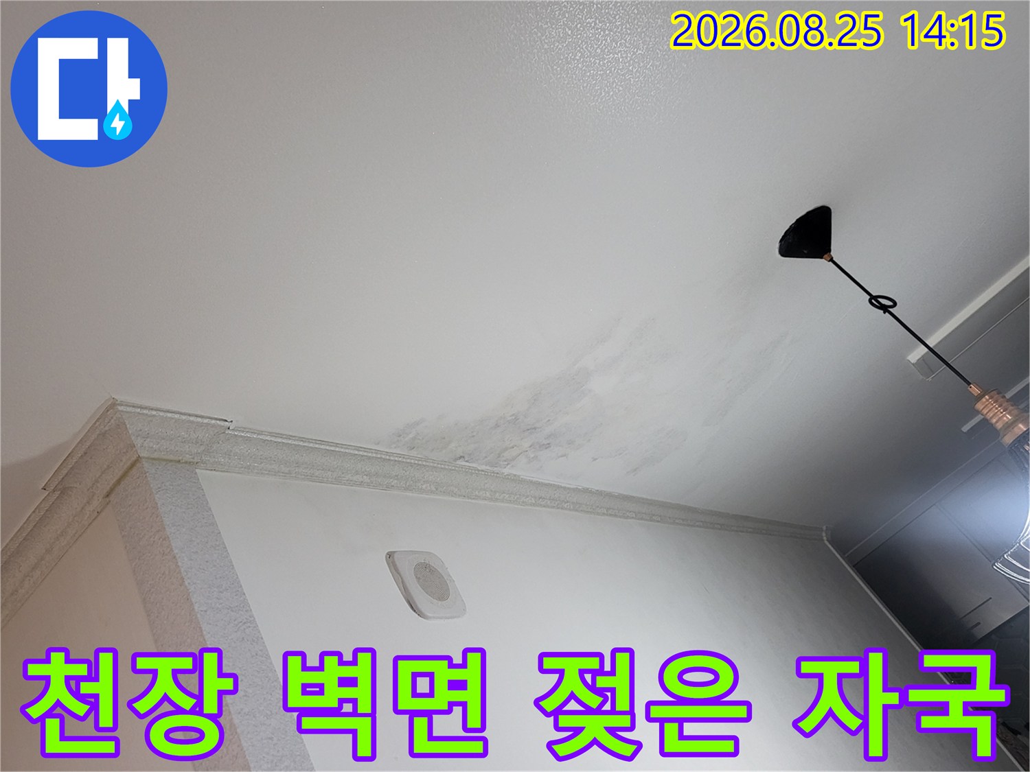 아랫집 천장 마감재에 발생한 누수 흔적과 얼룩