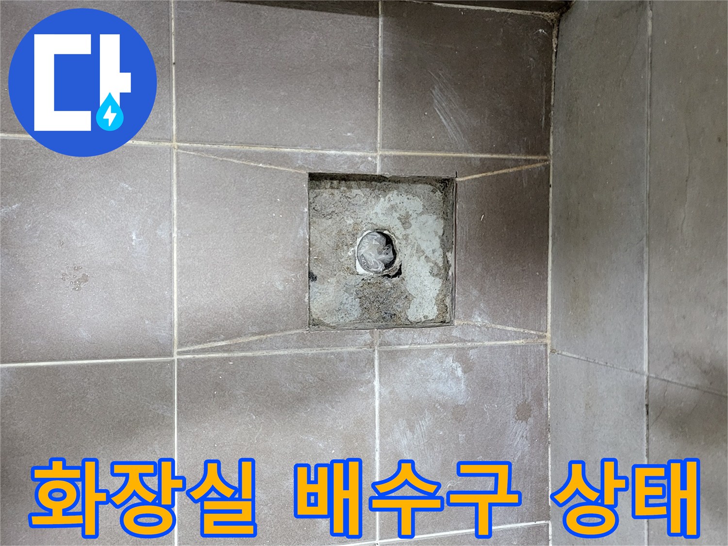 일산동구-욕실-배수구-주변-타일-상태-확인