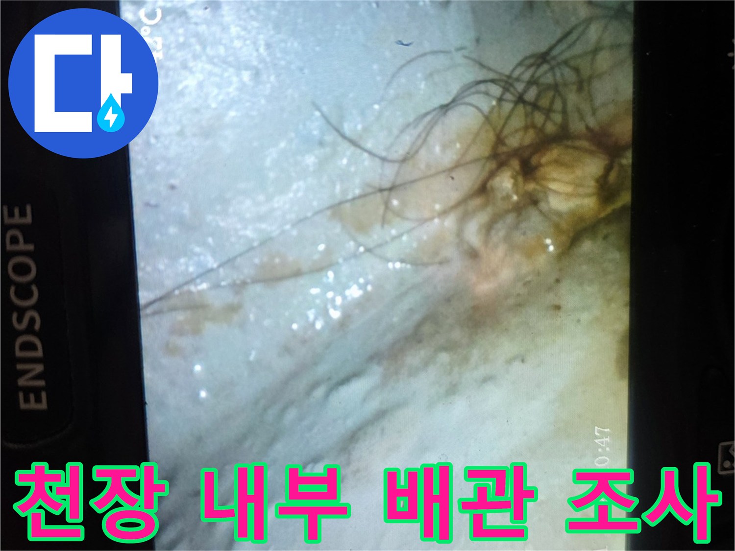 내시경을 통해 확인한-물기가 스며든 천장 내부 부위
