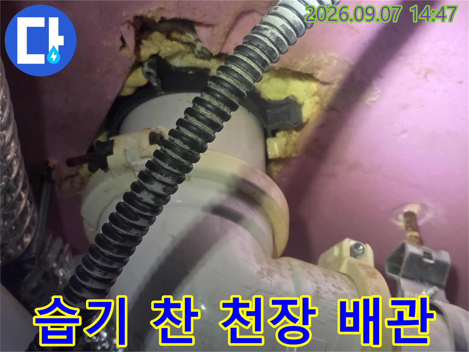 덕양구 현장-천장 배관 주변의 습기와 누수 흔적 기록