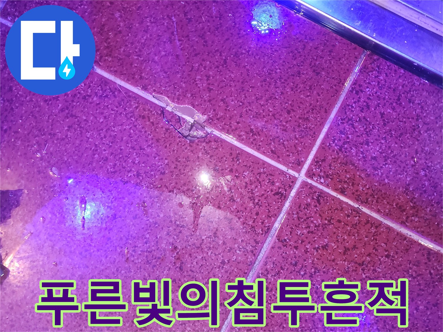 자외선-랜턴-반응을-통한-타일-틈새-물샘-확인