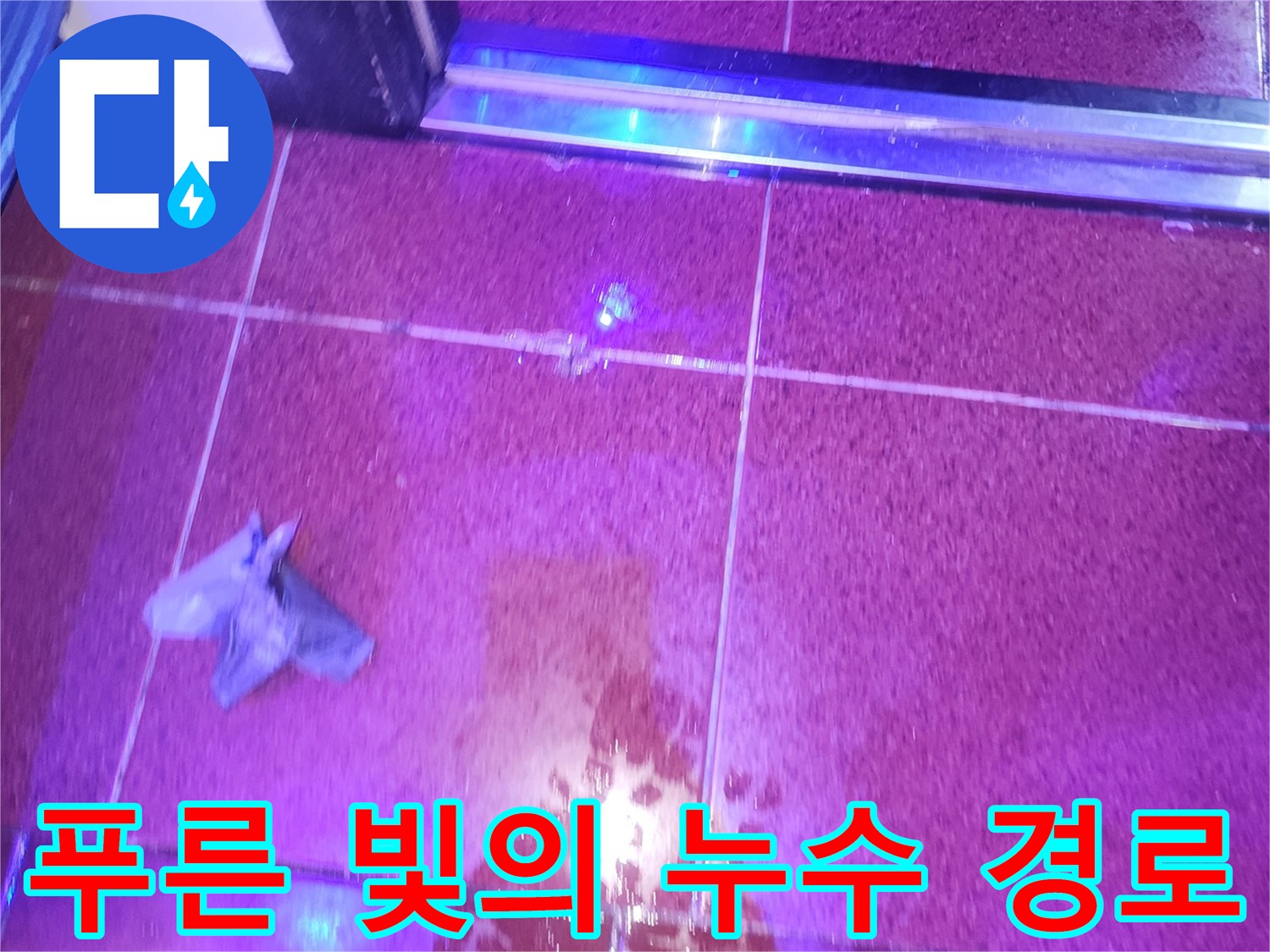 자외선-램프-반응을-통한-타일-사이-물길-식별