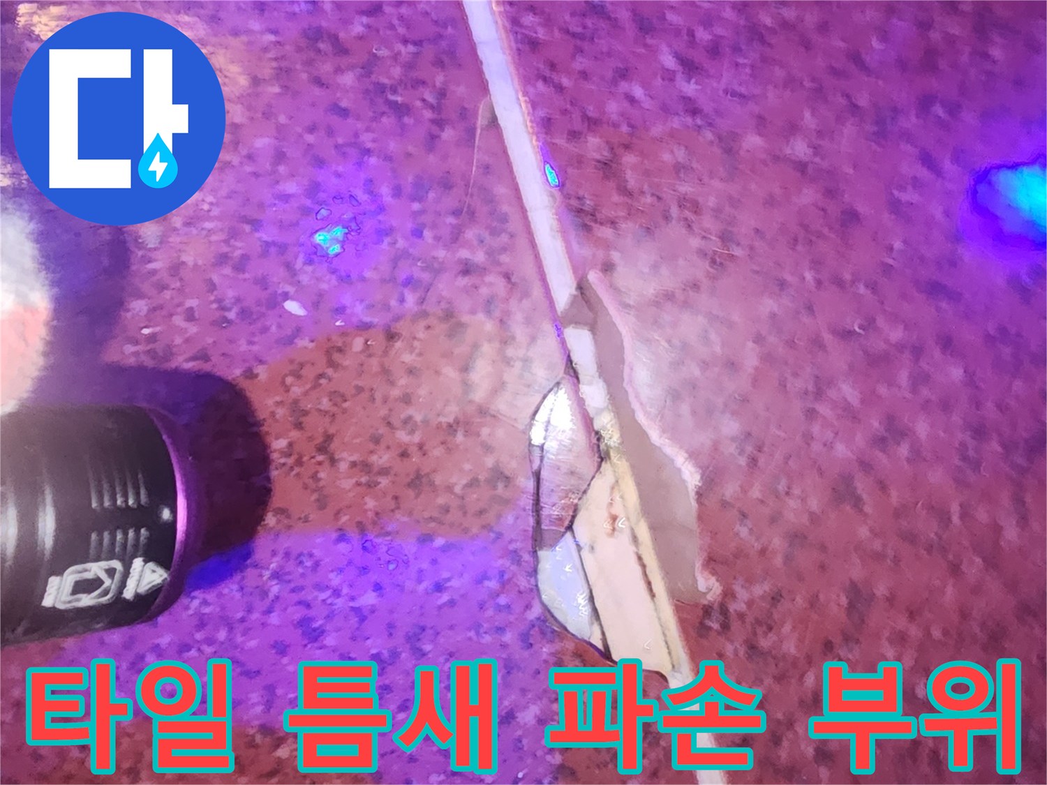 타일 사이의 균열과 파손된 줄눈 부위 확인