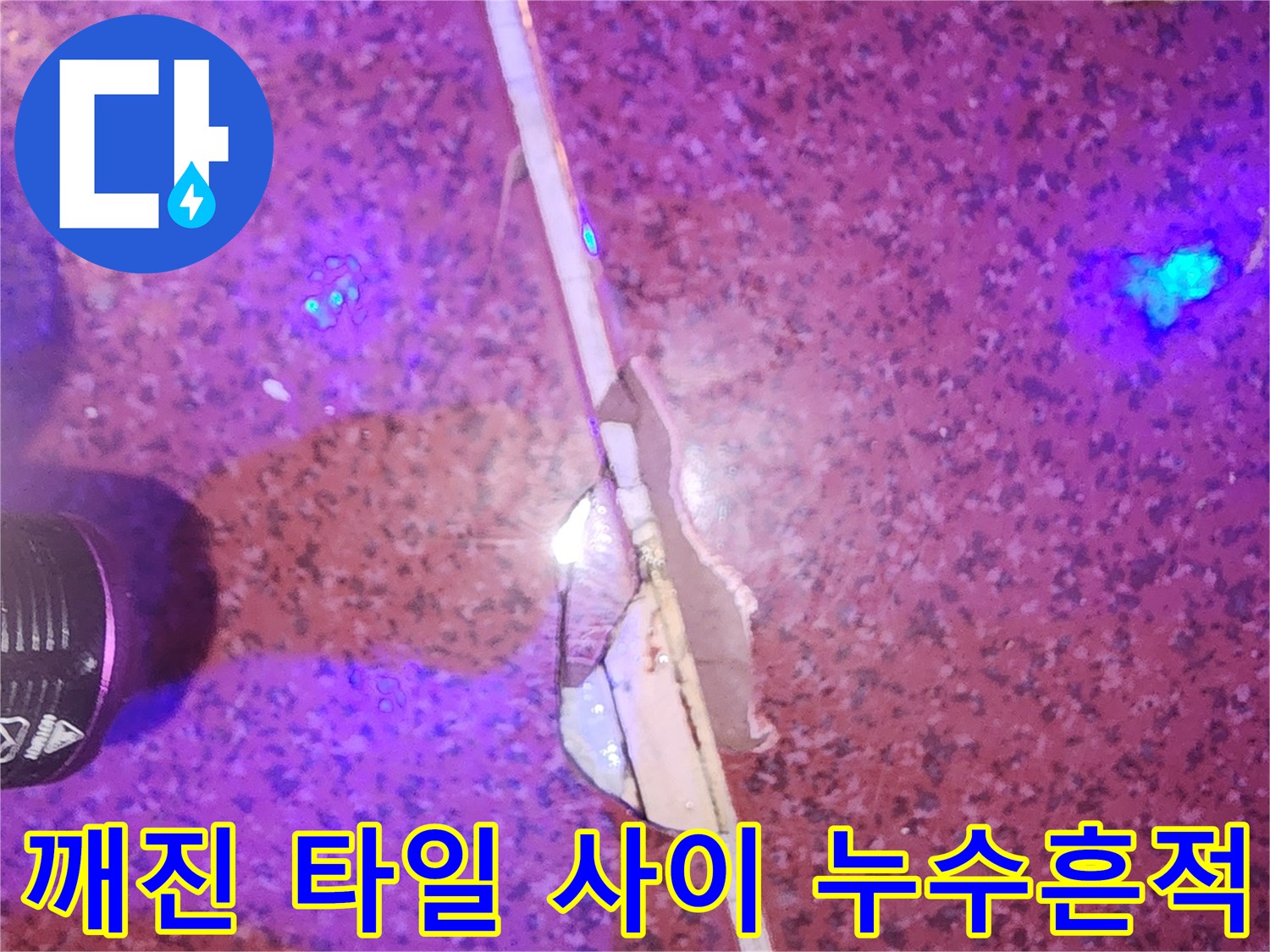 타일-틈새-사이로-스며나오는-푸렷한-누수-증상