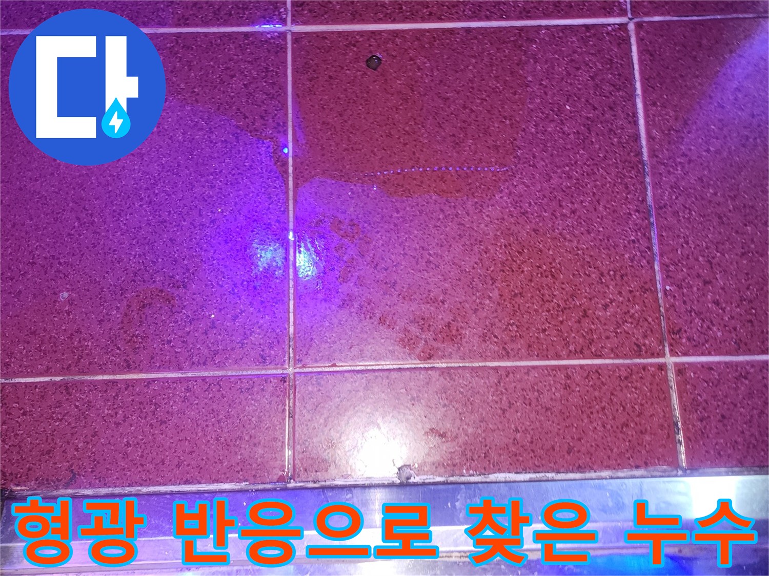 타일-표면-틈새에서-발견된-푸른색-누수-반응