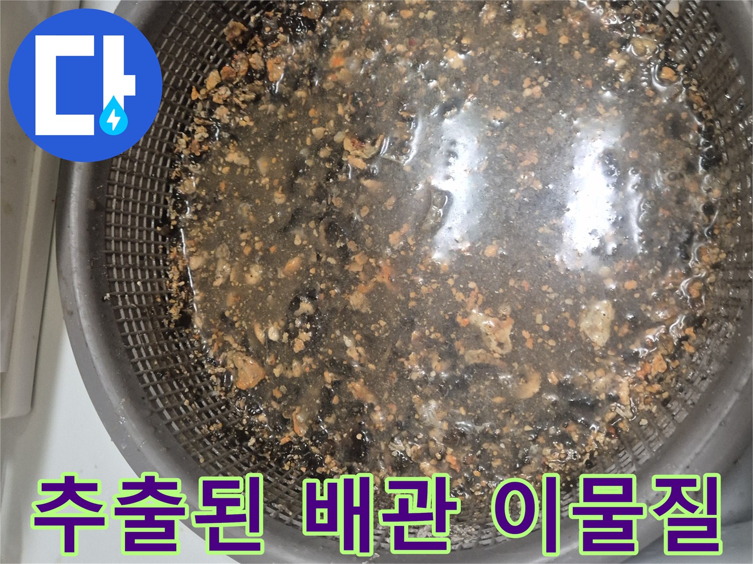 석션기로 빨아올린 싱크대 하수구 오염물