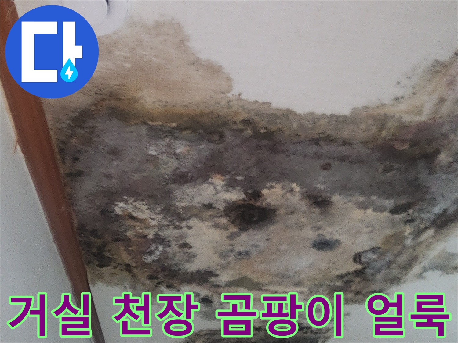성북구-거실-천장-벽지-곰팡이-및-오염-상태