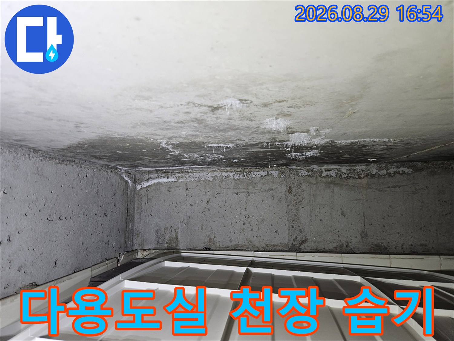 상계동 현장-천장 마감재에 나타난 하얀색 백화 및 습기 흔적